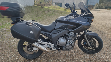 Yamaha TDM 900 - 2006 TDM900