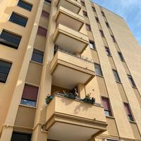 Camera singola in appartamento