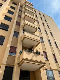 Camera singola in appartamento