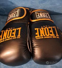 Guantoni boxe