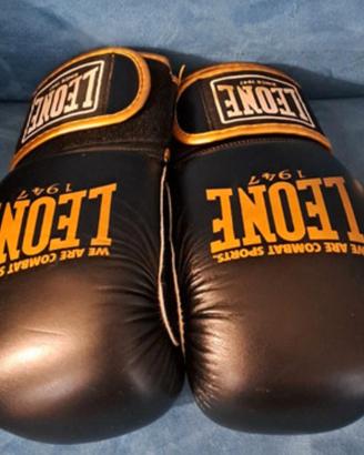 Guantoni boxe