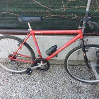 bici mtb