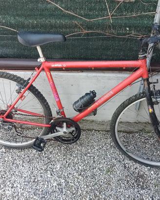 bici mtb
