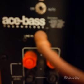 woofer ace bass