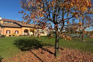 TER. RESIDENZIALE A CURTAROLO
