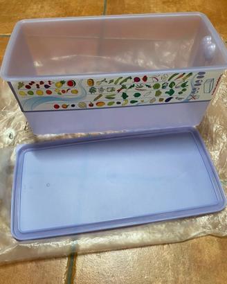 Contenitore Tupperware