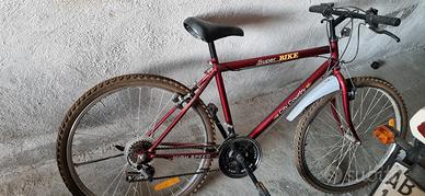  bicicletta. mtb basica
