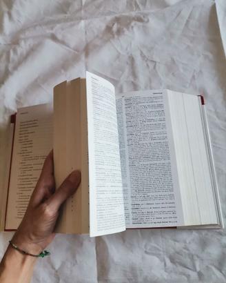 Vocabolario della lingua latina IL Castiglioni Mar