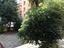 Immagine 12