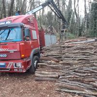 Iveco turbo tech 190-36