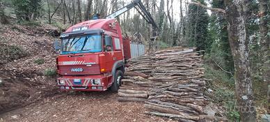 Iveco turbo tech 190-36