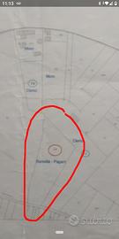 Appezzamento terreno in Zinasco (PV) fz. Sairano