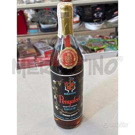 BOTTIGLIA COLLEZIONE PENYAFORT BRANDY GALLEMI