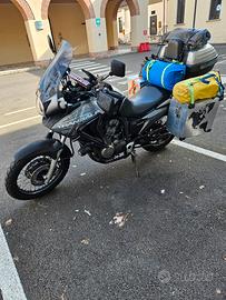 honda transalp 700