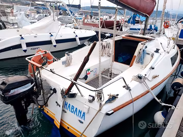 Barca a vela Piviere 6,60
