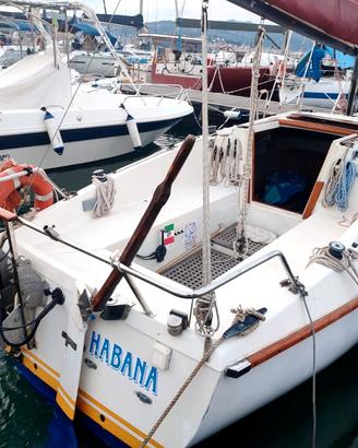 Barca a vela Piviere 6,60