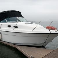 Striper 2601 + Volvo Penta 270 hp