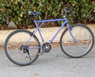 MOUNTAIN BIKE 