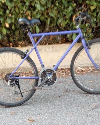MOUNTAIN BIKE 