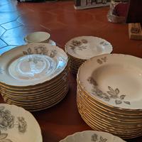 Servizio completo Richard Ginori