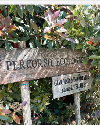 Terreno agricolo