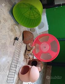 Accessori gabbia per criceto e altri roditori