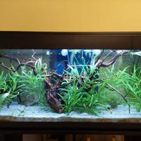 acquario 200 litri esagonale perfetto e mobiletto