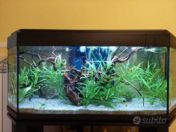 acquario 200 litri esagonale perfetto e mobiletto