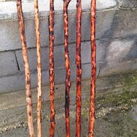 Bastoni di mandorlo 2026 fuocati a mano