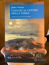Libro Viaggio al centro della terra