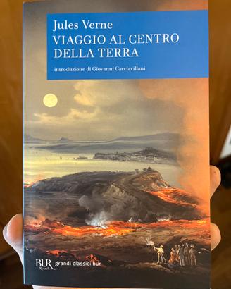Libro Viaggio al centro della terra