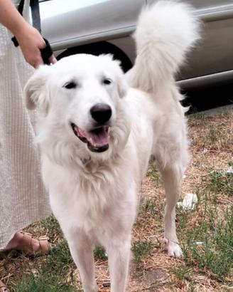 Giotto 2 anni