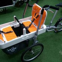 Cargo Bike Taga Family