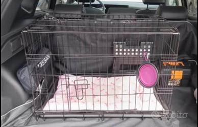 Kennel cani o gatti