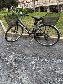 Bici smp