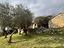 Immagine 15
