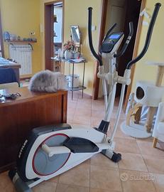 elittica kettler rivo-P