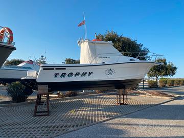 Trophy 2352 wa