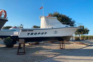Trophy 2352 wa