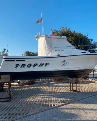 Trophy 2352 wa