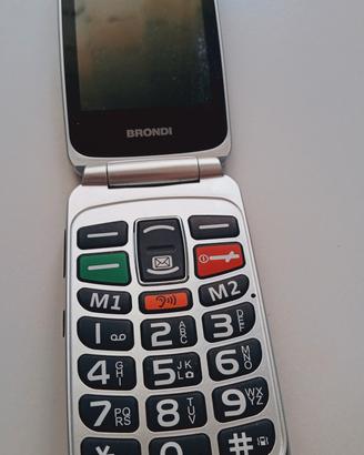 BRONDI AMICO SUPER VOICE NUOVO!