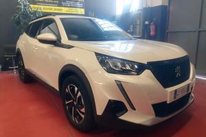 Peugeot 2008 PureTech 100 S&S Active