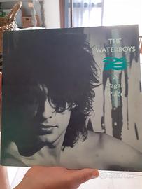 vinile  THE WATERBOYS