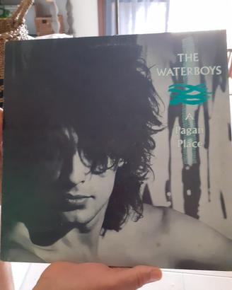 vinile  THE WATERBOYS