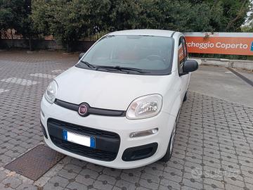 Fiat Panda 1.2 Easy DISTRIBUZIONE NUOVA