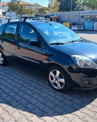 fiesta neopatentati