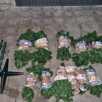 albero di Natale 180 cm