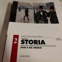 Testo di storia Camera Fabietti