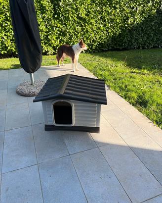 Ferplast Dogvilla 70 L