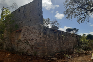 Terreno / Bosco tra Cefalù e Gratteri